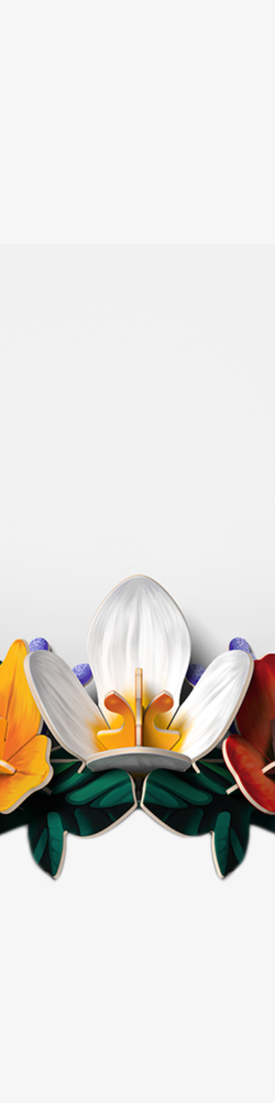 Mixed Flower - Realistic