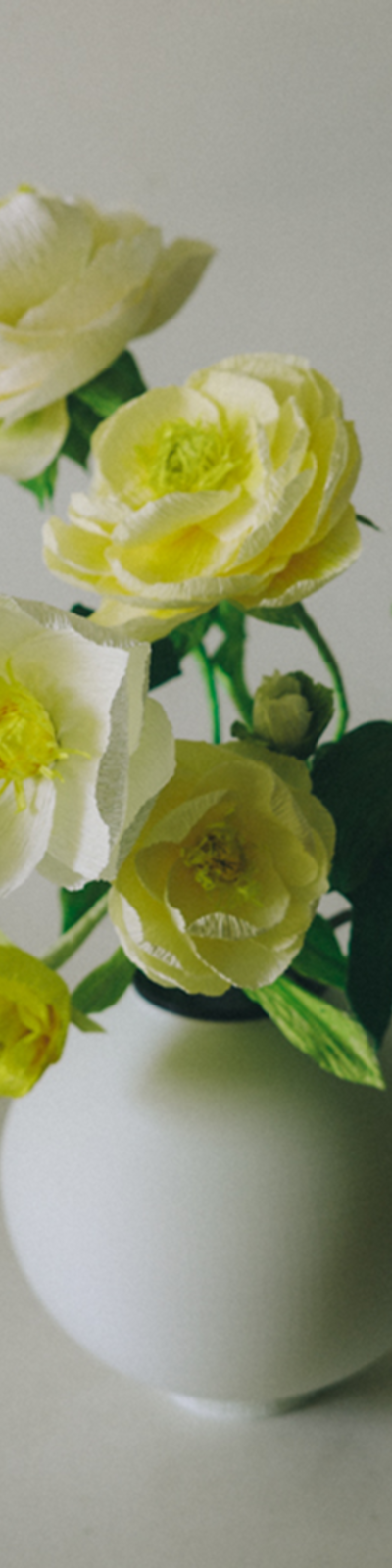 Paper Bloom - Camellia and Peony