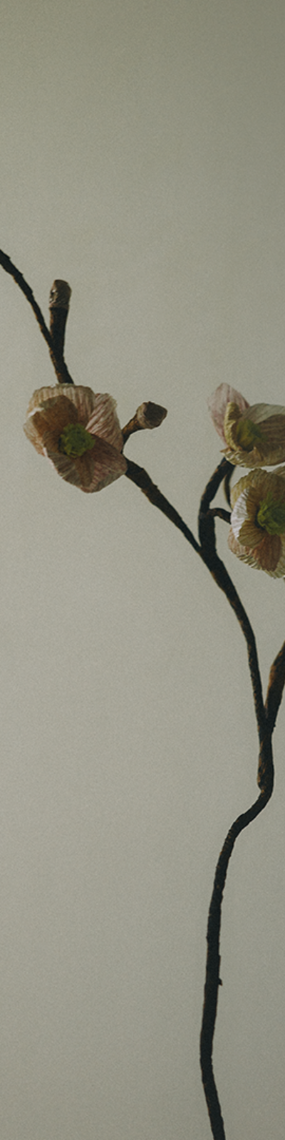 Paper Bloom - Plum Blossom