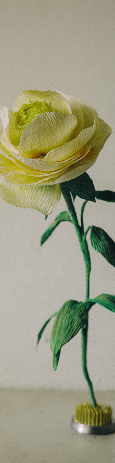 Paper Bloom - Peony