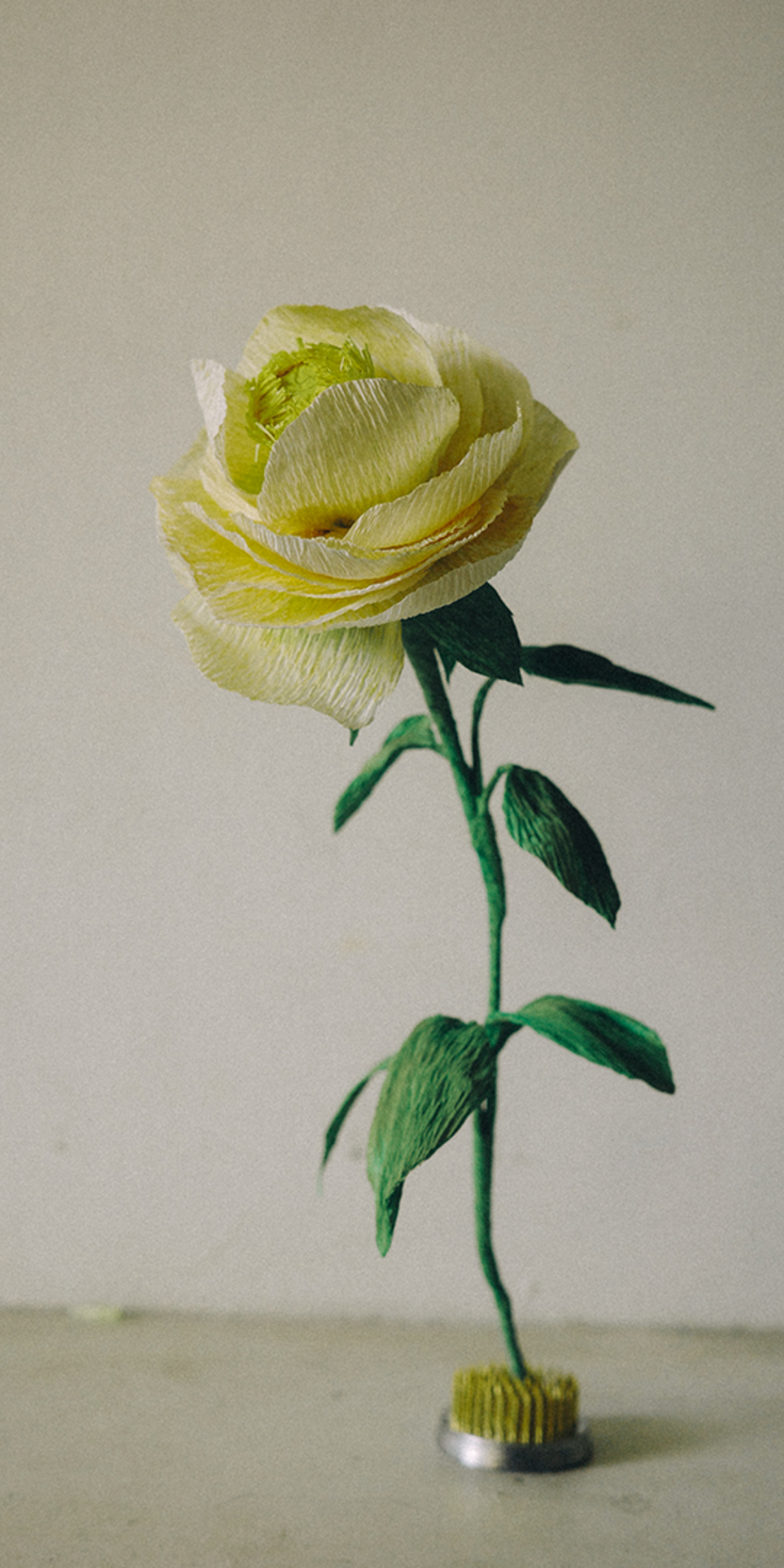 Paper Bloom - Peony
