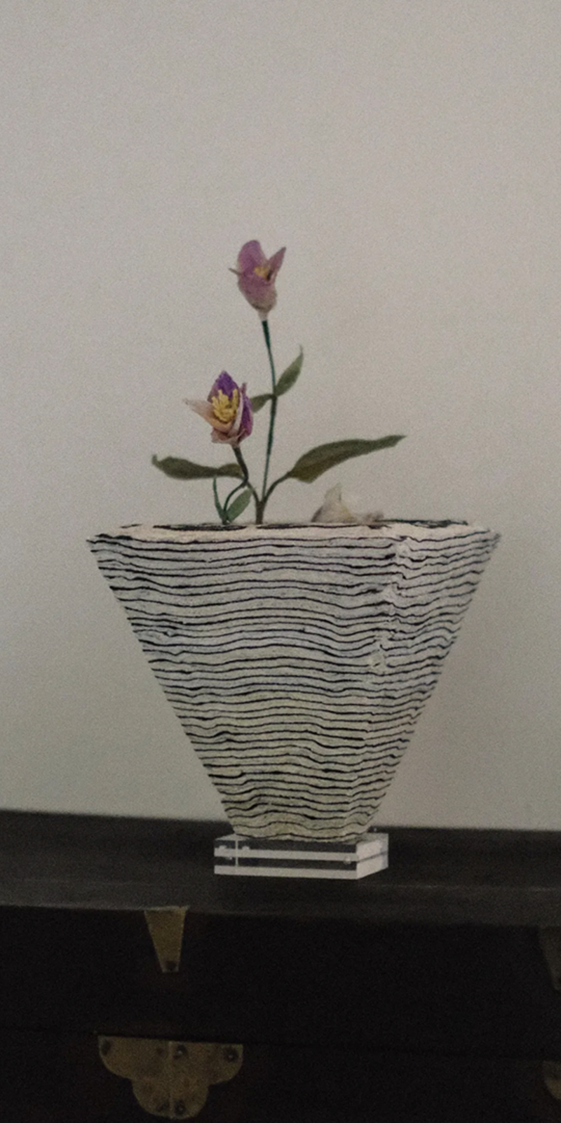 Paper Bloom - Balloon Flower