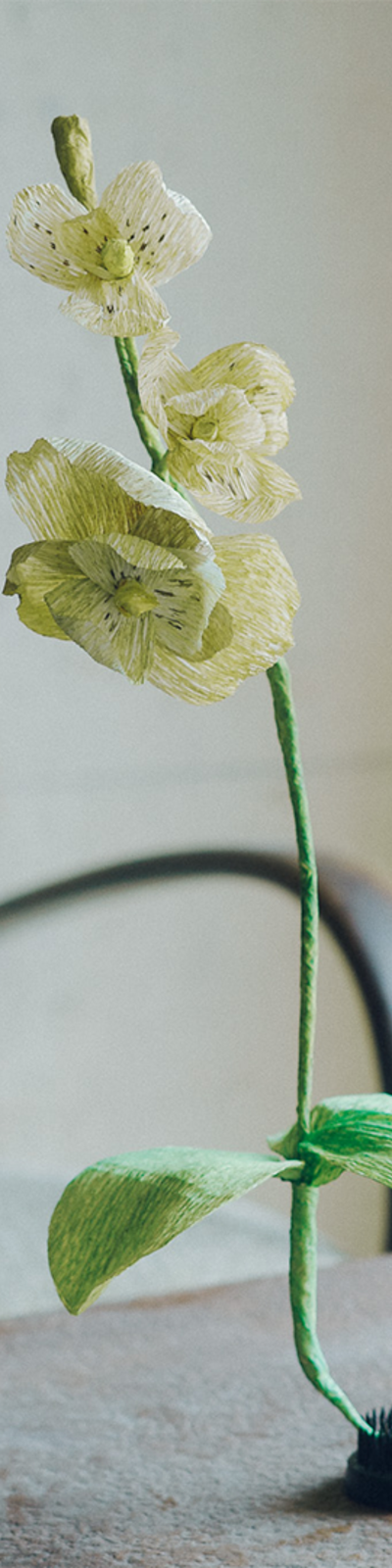 Paper Bloom - Orchid