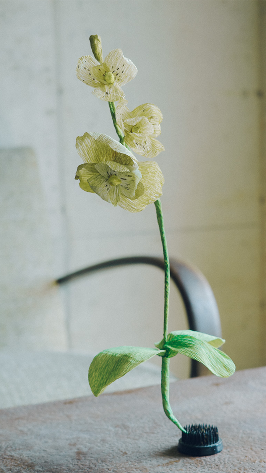 Paper Bloom - Orchid