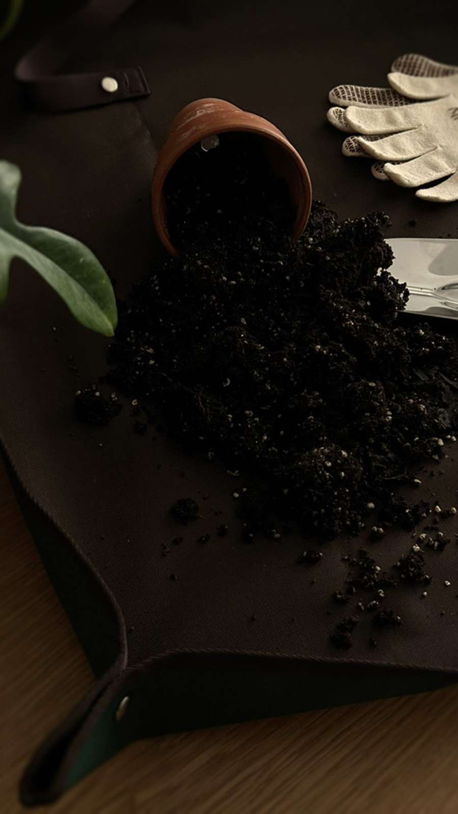 Plant Repotting Kit
