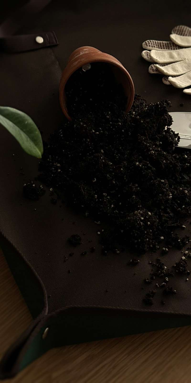 Plant Repotting Kit