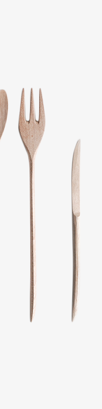 Leaf Dessert Cutlery (4 OPTION)