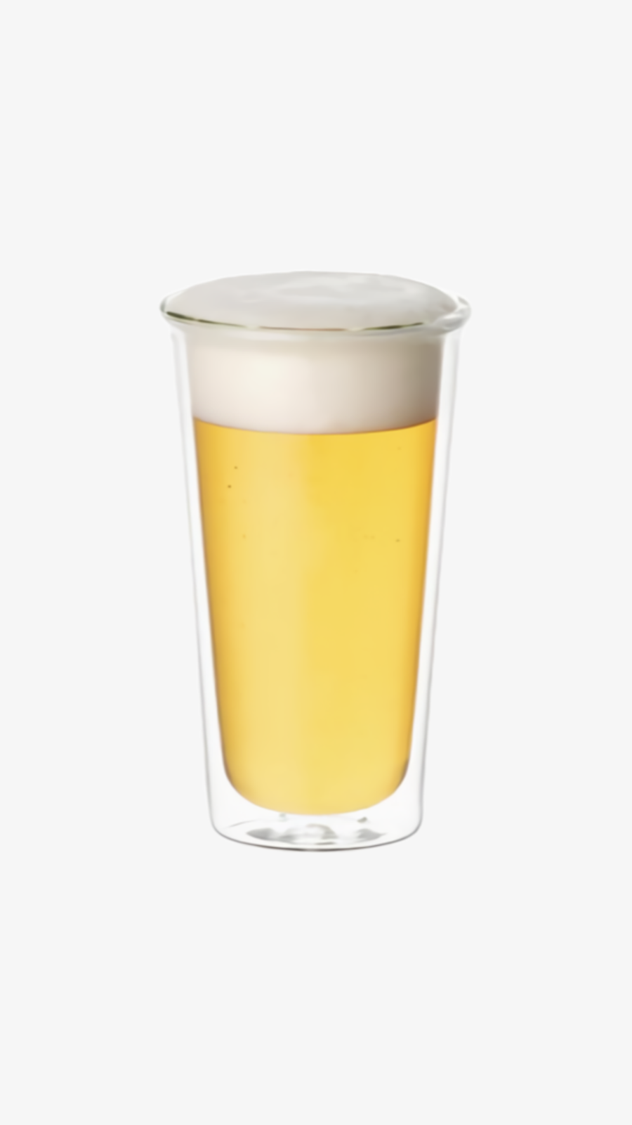 Cast Double Wall Beer Glass