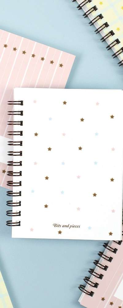 [Perpetual] Bits and Pieces Mini Diary