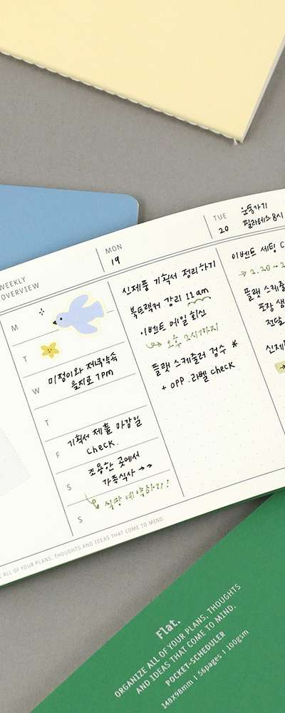 Flat Pocket Scheduler (6 Months)