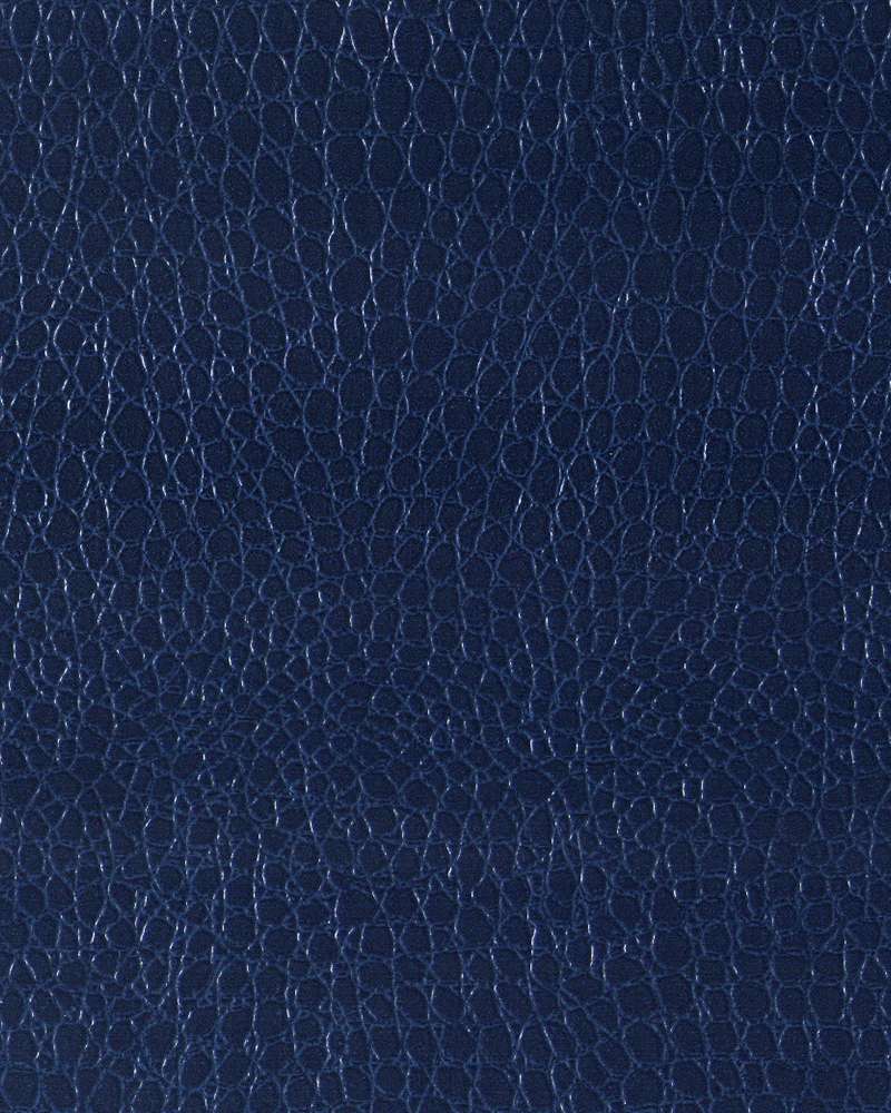 Leather Like_C 613
