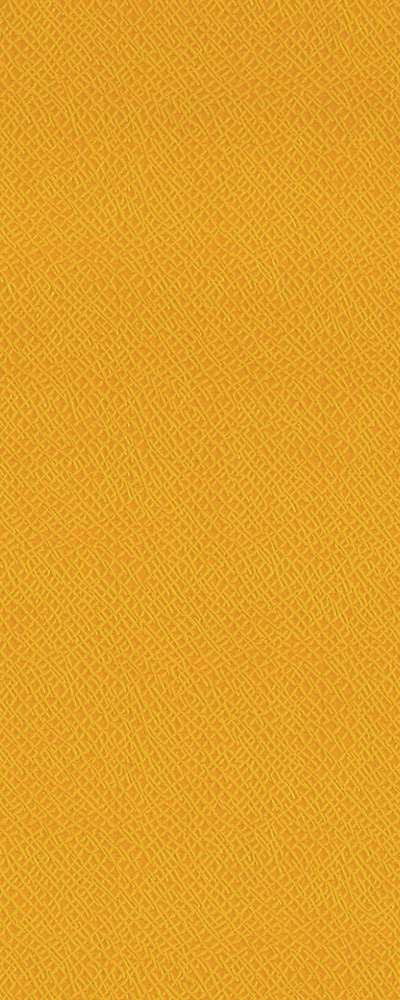 Leather Like_S 639