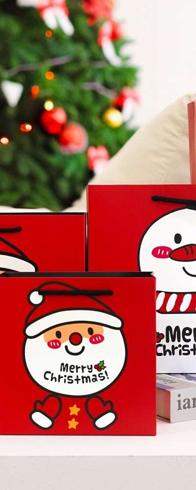 Popo Fancy Merry Christmas Gift Shopping Bag Set of 5