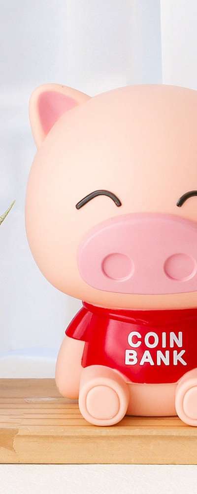 Popo Fancy Happy Pig Piggy Bank