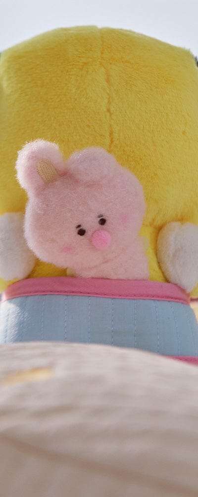 BT21 COOKY ベイビー ニューボーン シーズン2 ぬいぐるみ & ベビーキャリア コスチューム クローゼット セット