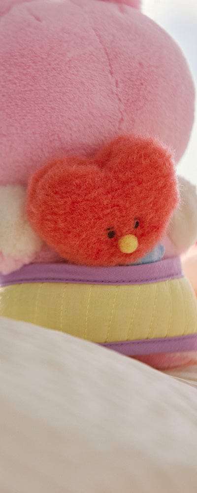 BT21 TATA ベイビー ニューボーン シーズン2 ぬいぐるみ & おんぶ紐 コスチューム クローゼット セット