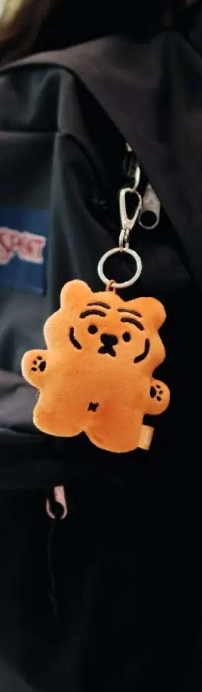 Flat Plush Keyring 5-Piece Set