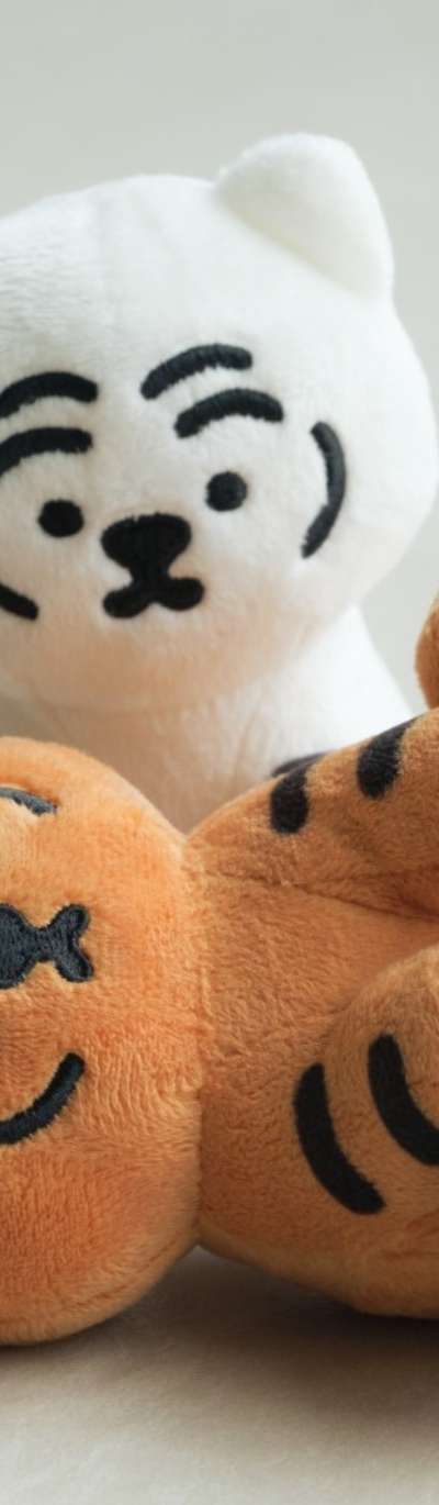 Moving Dungrangyi Plush Toy 3-Type Set