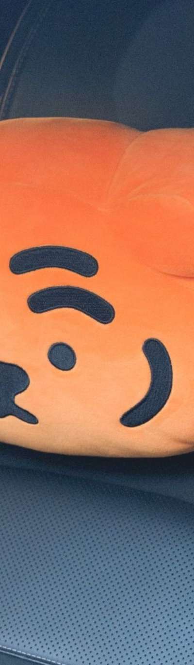 Unemployed Tiger Car Neck Cushion - 4 Types