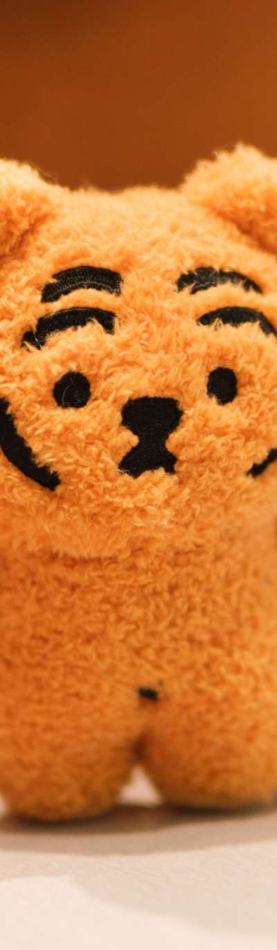 Muggy Tiger Mini Plush Doll Set of 4