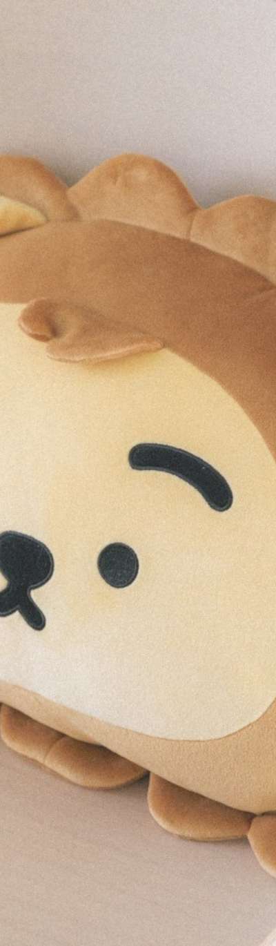 Lion Face Mochi Cushion