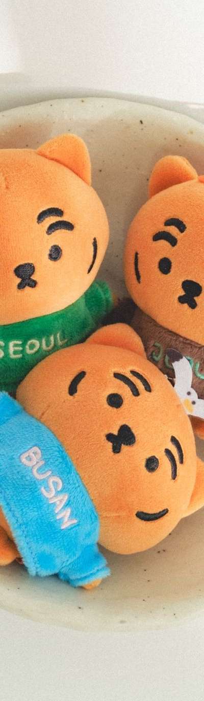Doonglang Tour City Doonglang Plush Keyring 3-Piece Set
