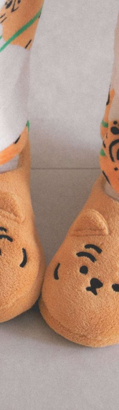 Chubby Tiger Fuzzy Slippers Set of 2