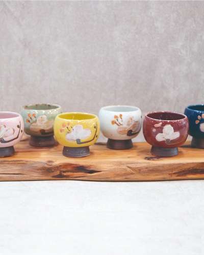 Cherry Blossom Color Multi-purpose Cup and Soju Glass 6-Piece Set