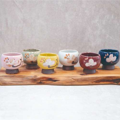 Cherry Blossom Color Multi-purpose Cup and Soju Glass 6-Piece Set
