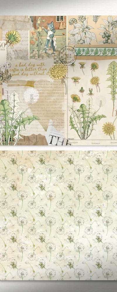 Dandelion Wrapping Paper [17]