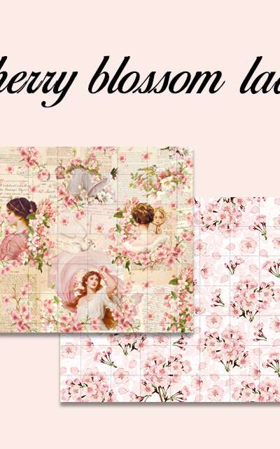 [17] Cherry Blossom Wrapping Paper