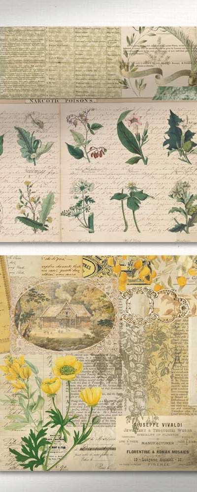 [17] Bergarden Wrapping Paper