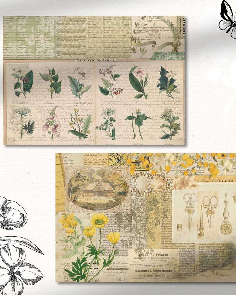 [17] Bergarden Wrapping Paper