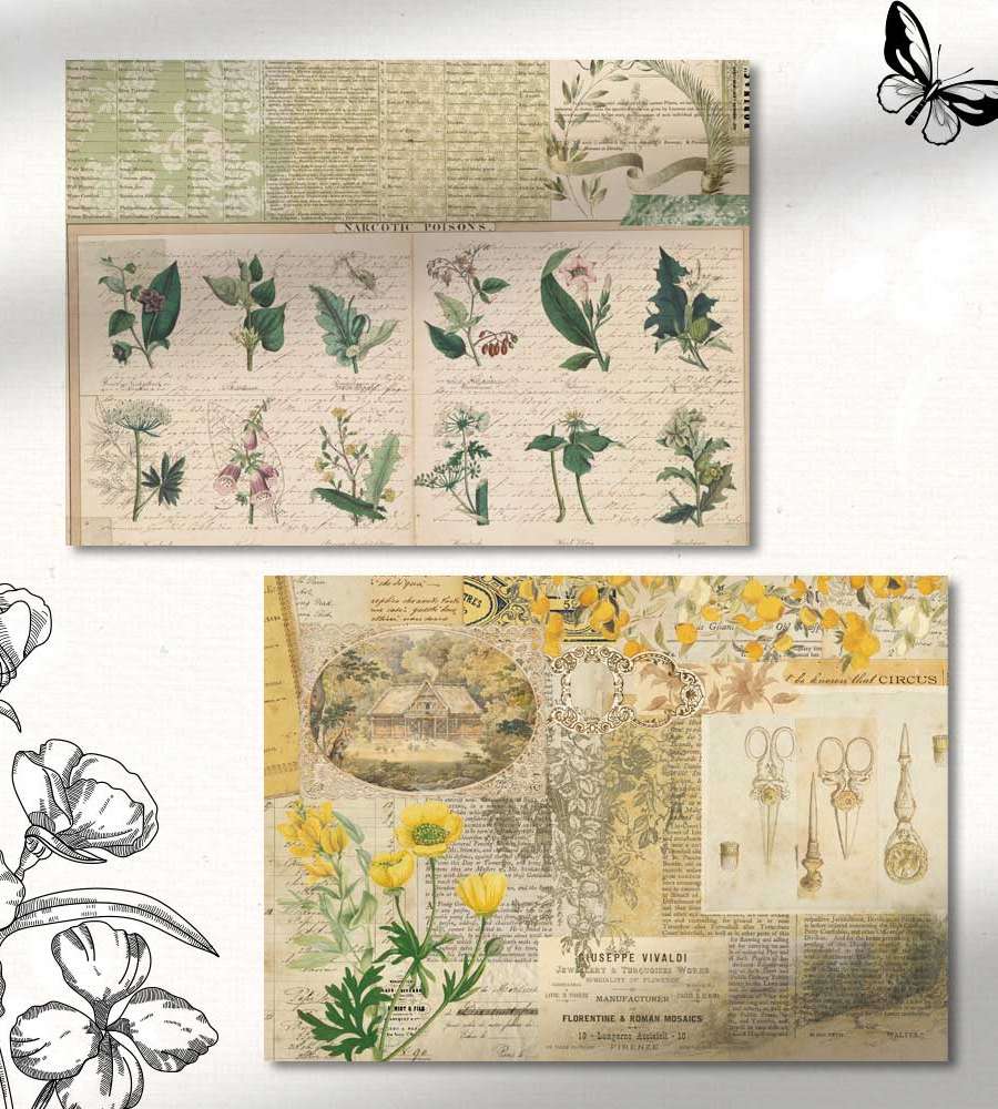 [17] Bergarden Wrapping Paper