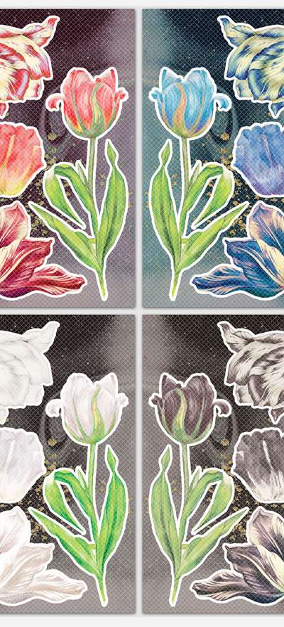 [1] Tulip