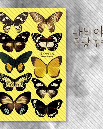 [2] Butterfly_Matte