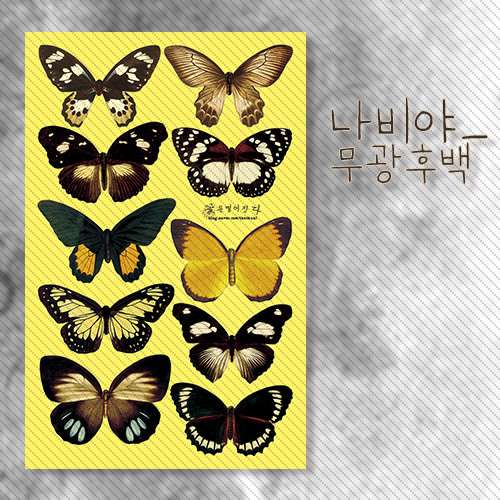 [2] Butterfly_Matte