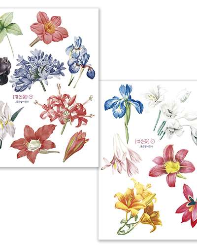 [2] Bent Flowers_WithPiny