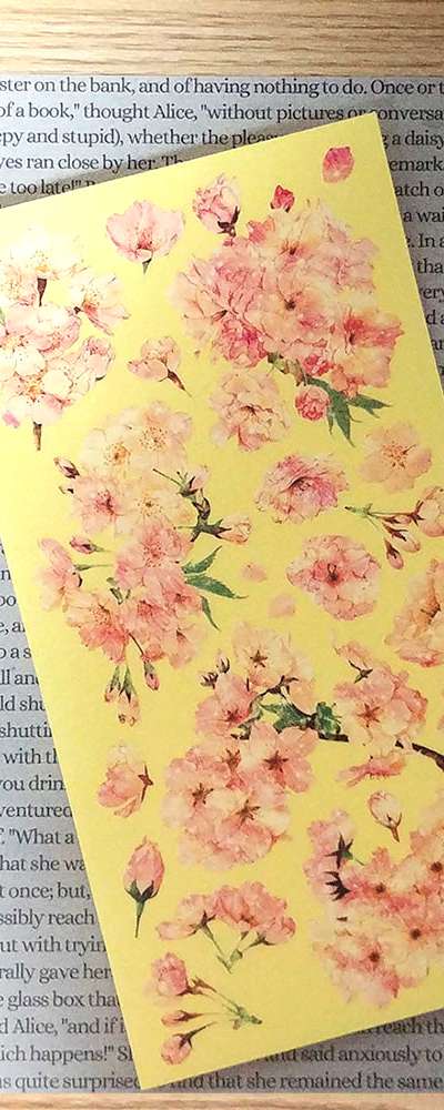 [17] Shell Blossom