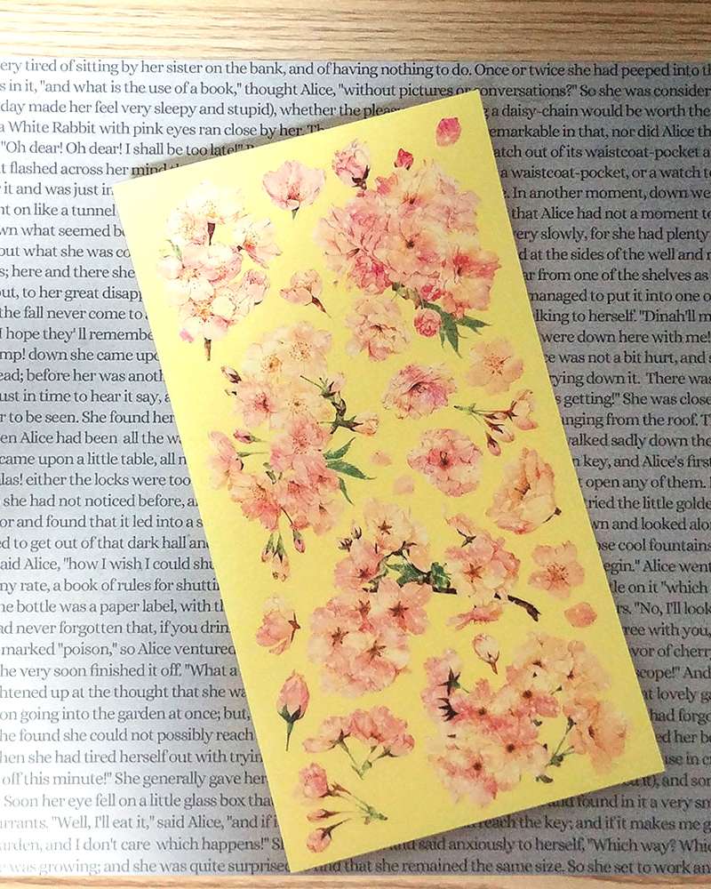 [17] Shell Blossom
