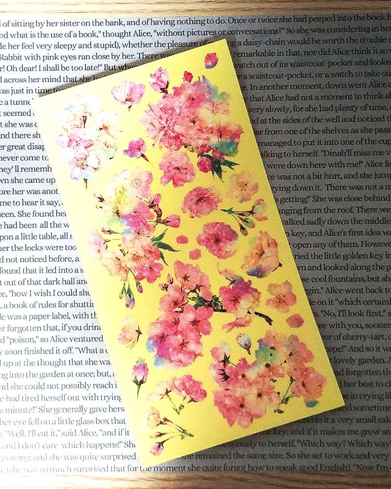 [17] Hologram Blossom