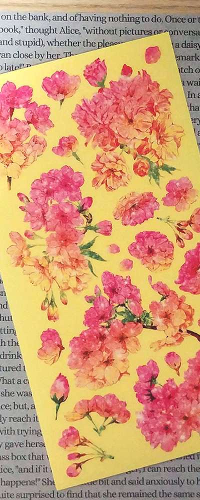 [17] Pink Yellow Blossom