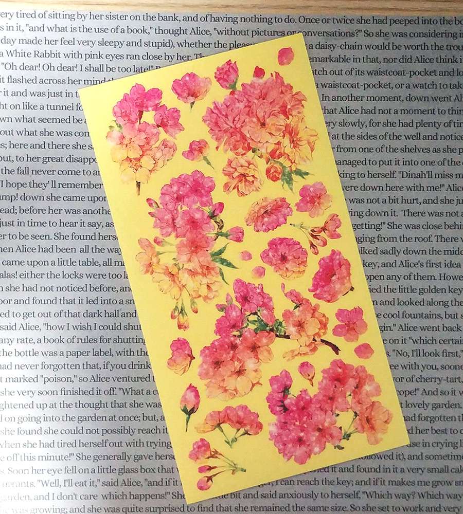 [17] Pink Yellow Blossom