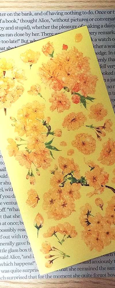 [17] Yellow Blossom