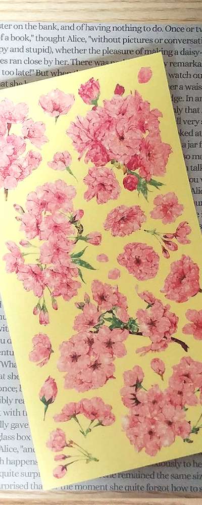 [17] Coral Blossom