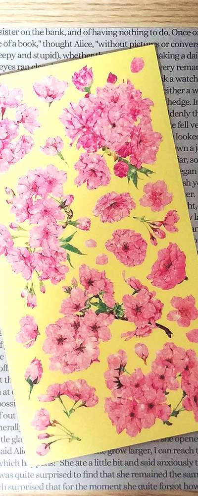 [17] Pink Blossom