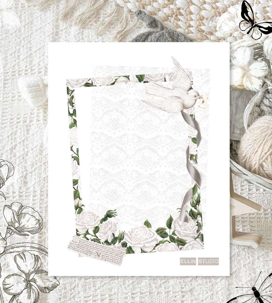 [17] Frame White