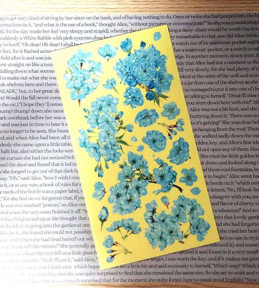 [17] Sky Blossom