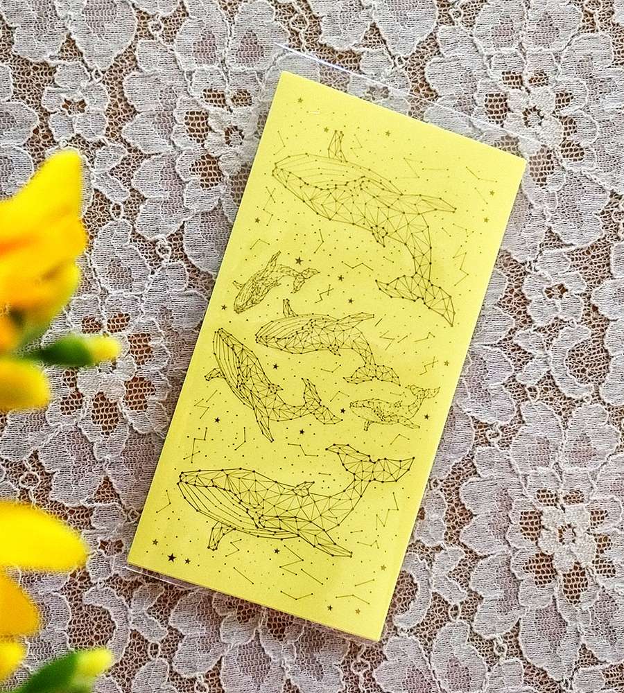 [17] Gold Whale