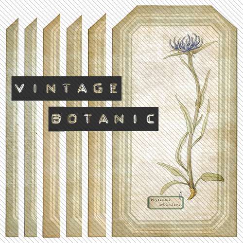 [2] Vintage Botanic Tag